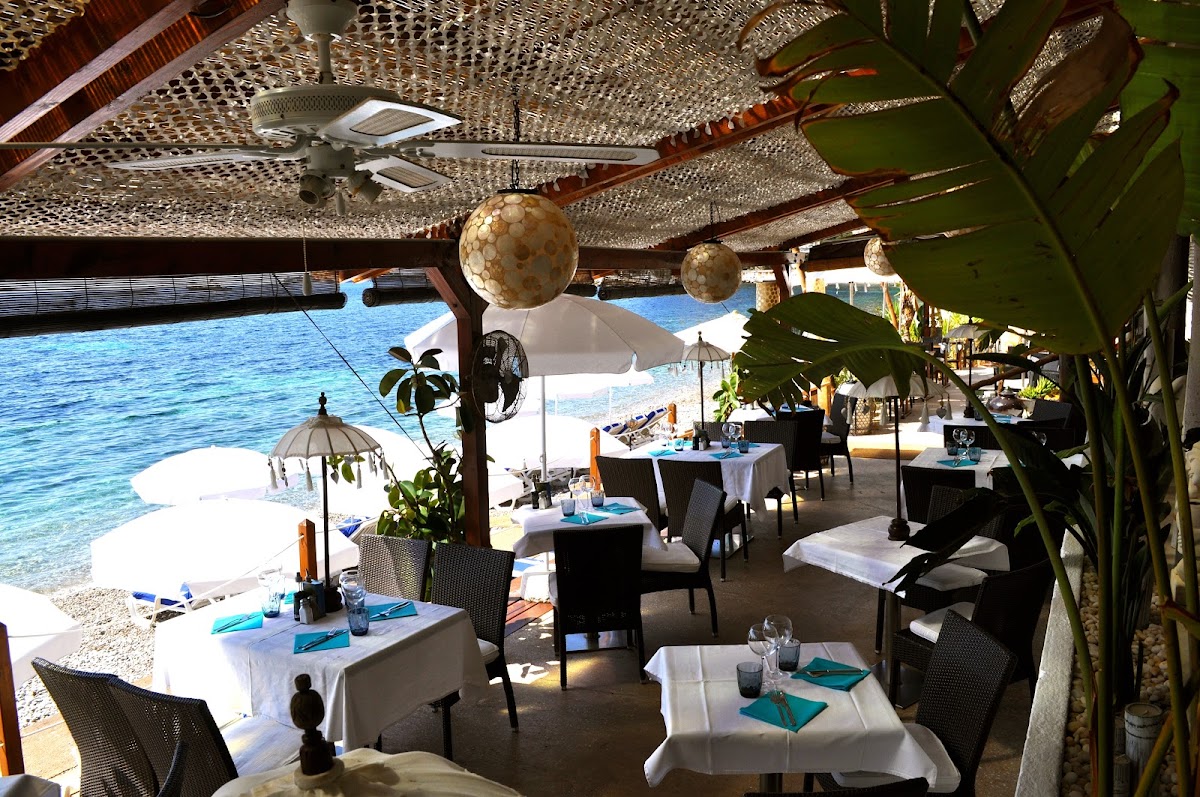 Papaya Beach