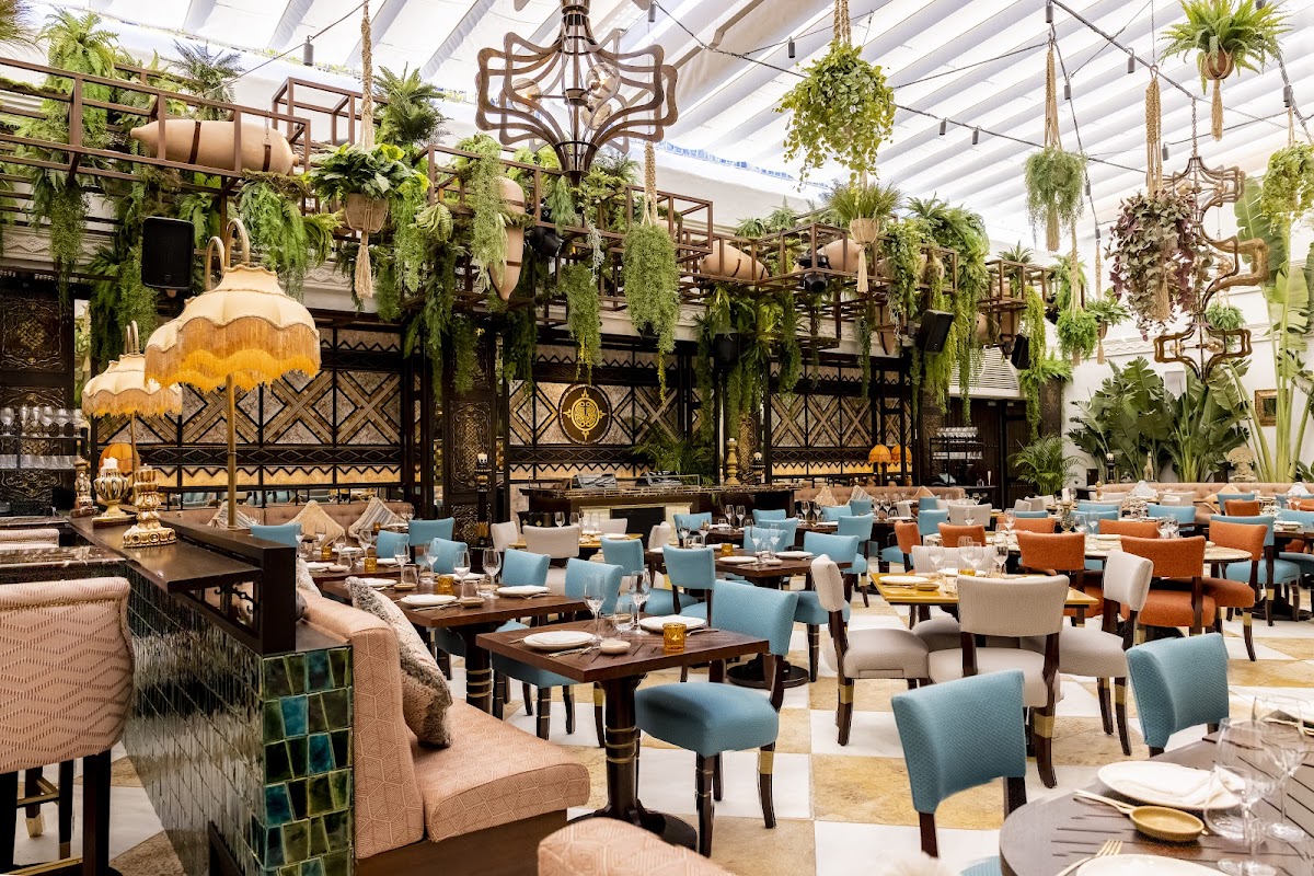 Coya Marbella